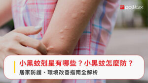 小黑蚊剋星有哪些？小黑蚊怎麼防？居家防護、環境改善指南全解析